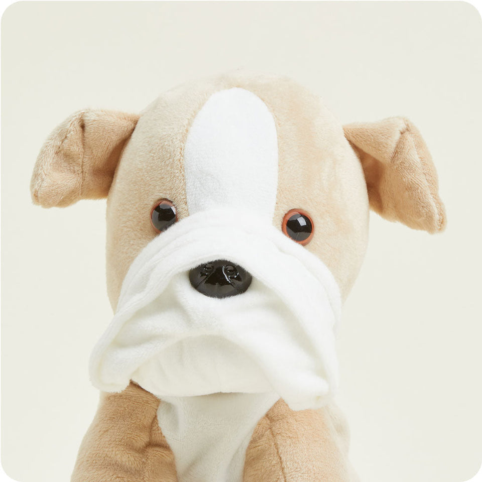 Bulldog - Lucid Atrium Sleepy Assortment