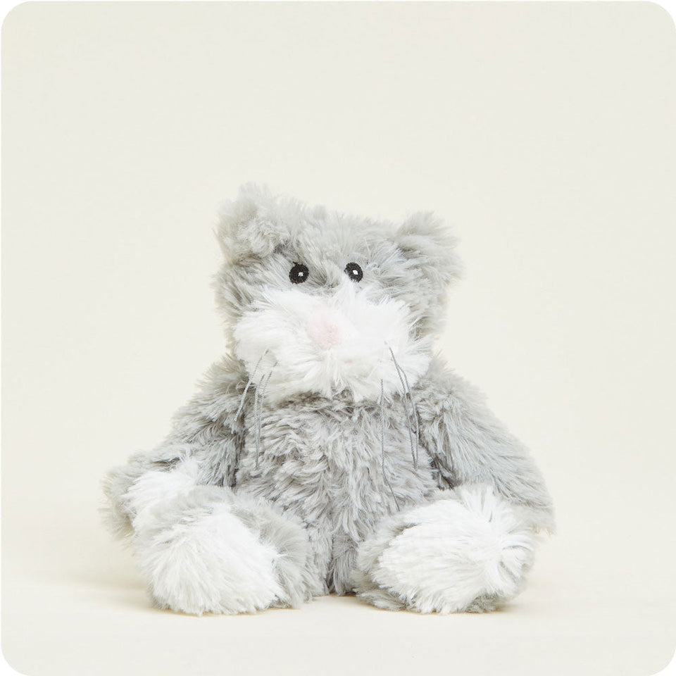 Cat Junior - Brisk Atrium Small Assortment