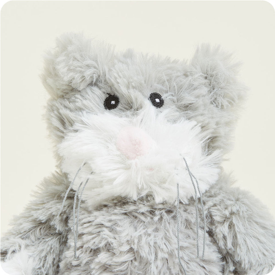 Cat Junior - Brisk Atrium Small Assortment