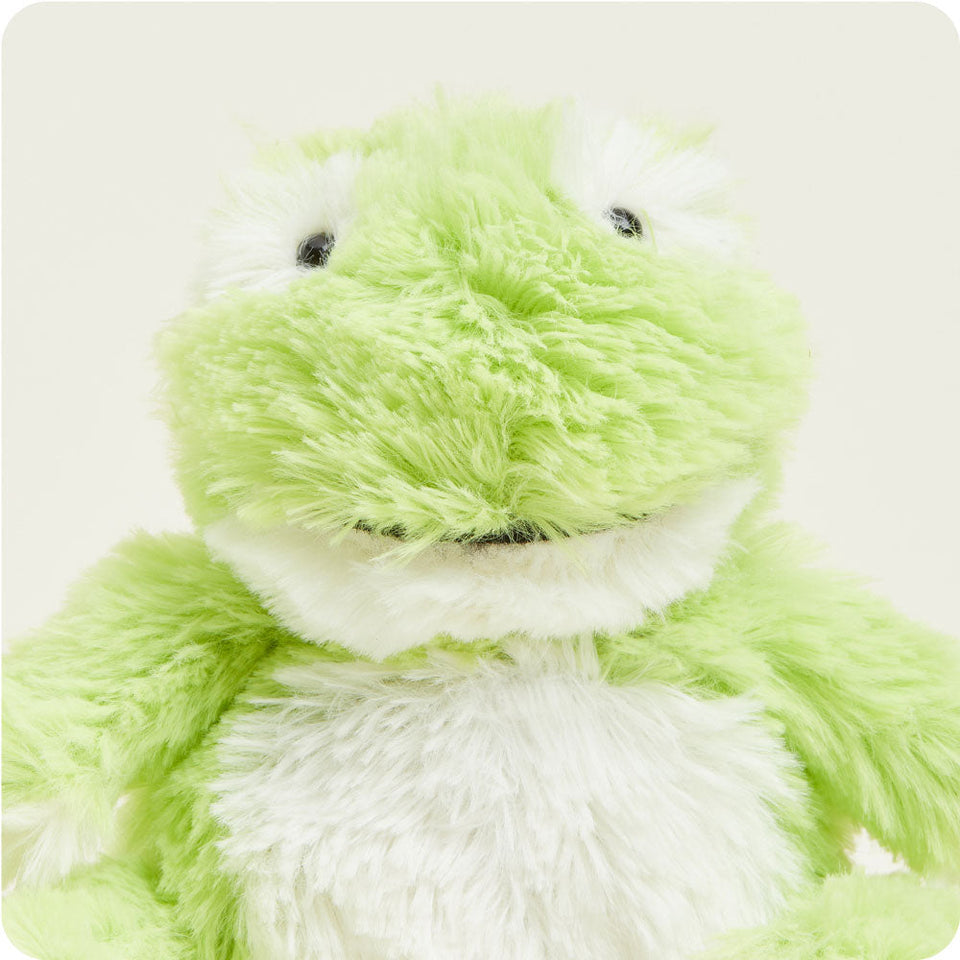 Frog Junior - Tidy Atrium Little Assortment