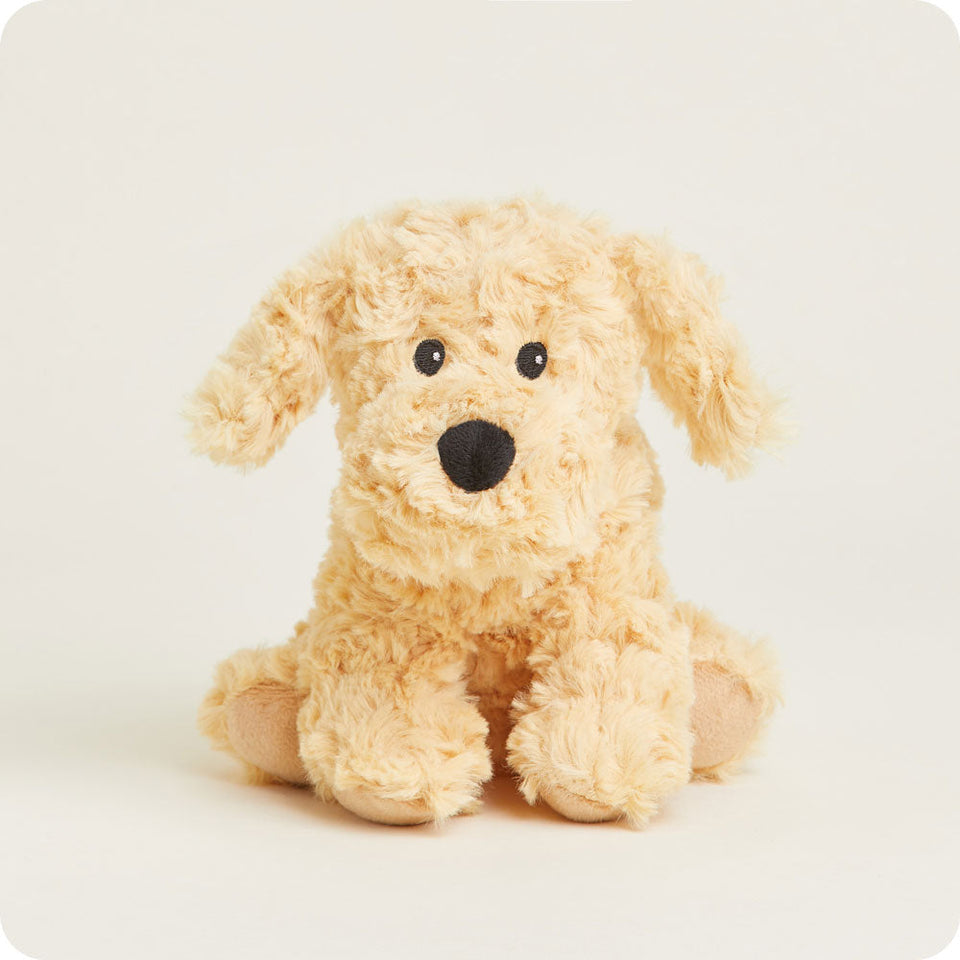 Golden Dog Junior - Keen Terrace Little Assortment