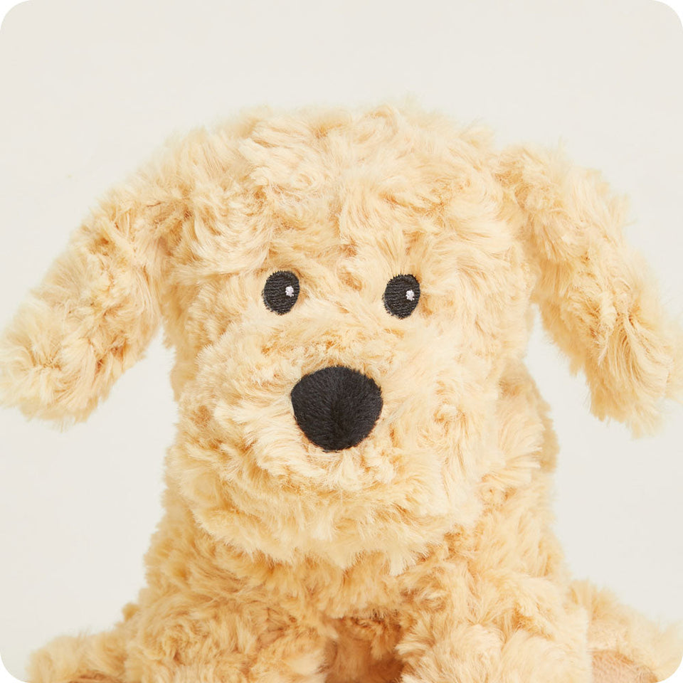 Golden Dog Junior - Keen Terrace Little Assortment