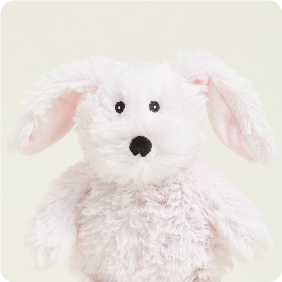 Bunny Junior - Clear Atrium Cozy Assortment
